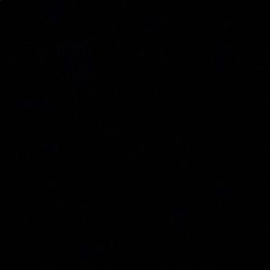 Meet your Posher, Jada